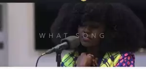 TY Bello - What Song